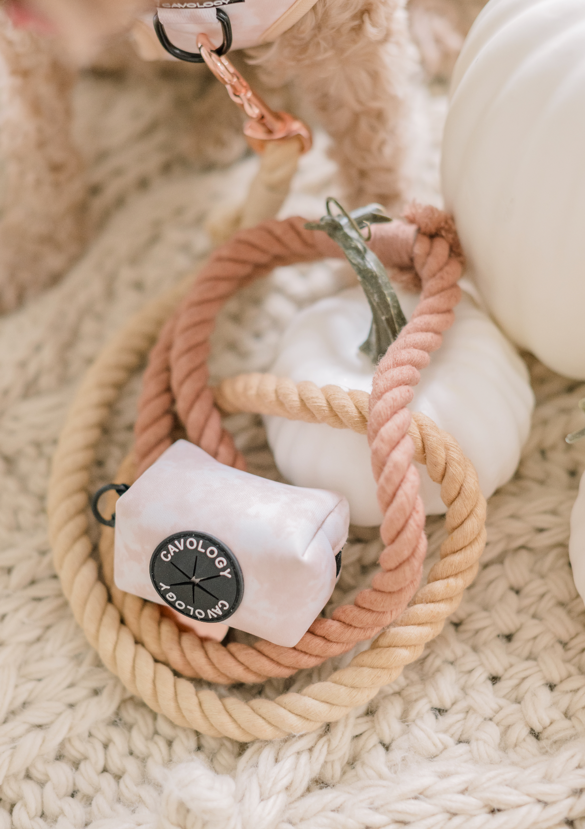 ROPE LEASH - OMBRE Chai Latte