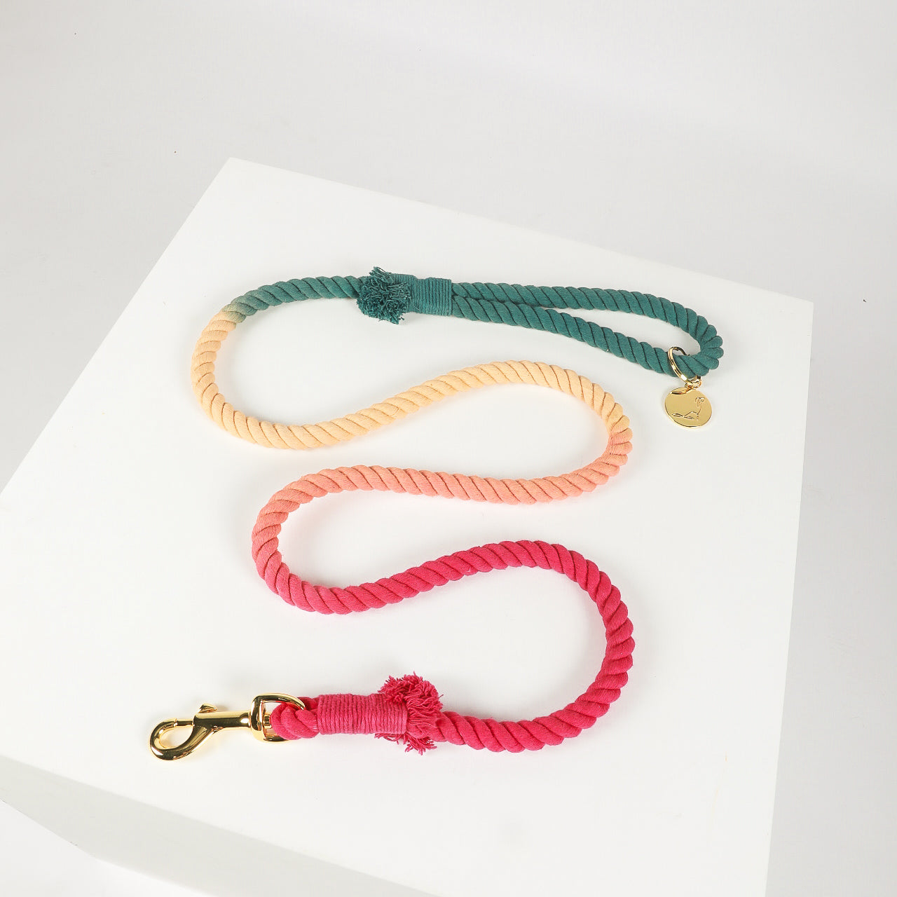 ROPE LEASH - OMBRE Autumn “Colors of the Wind”