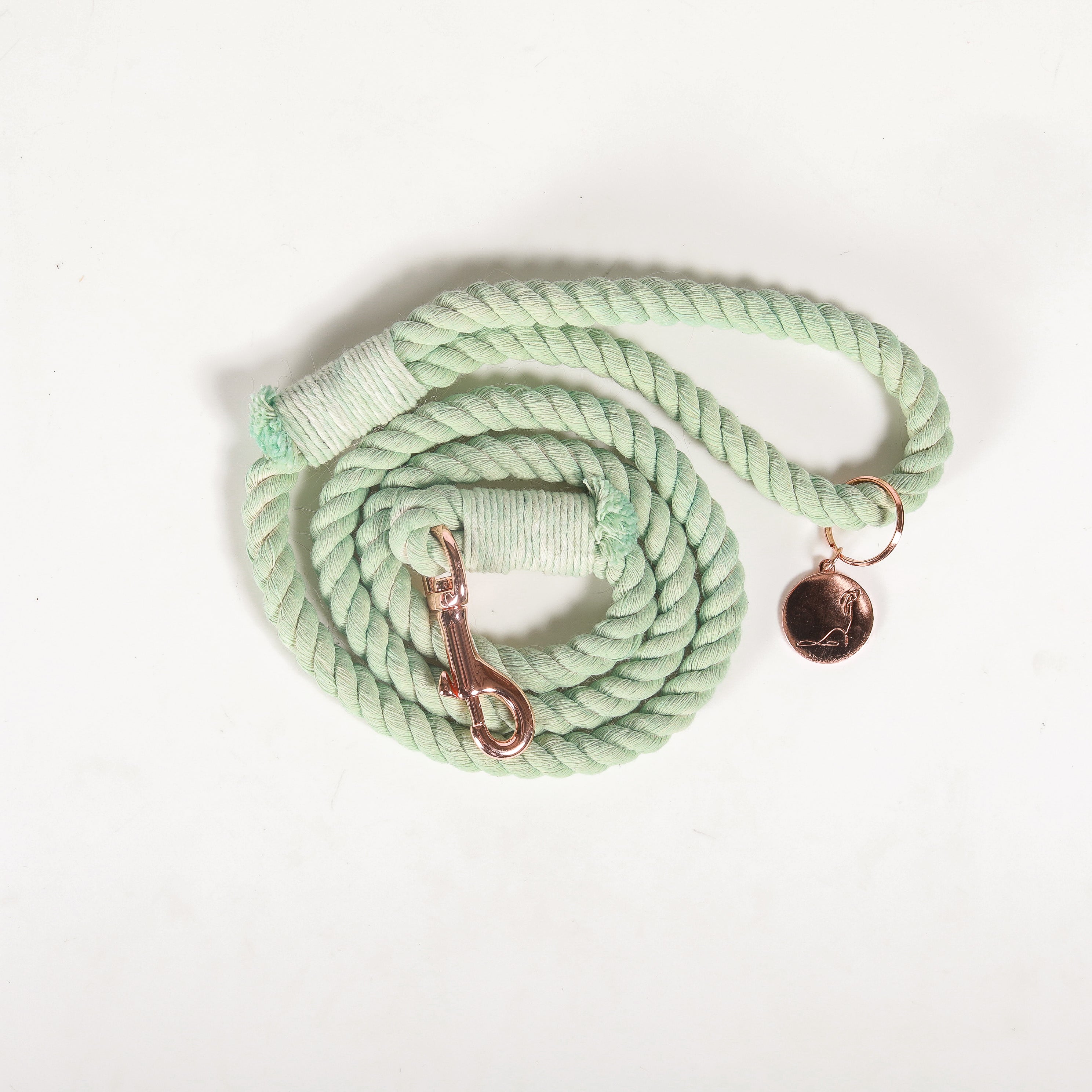 DOG ROPE LEASH - Seafoam Rose Gold