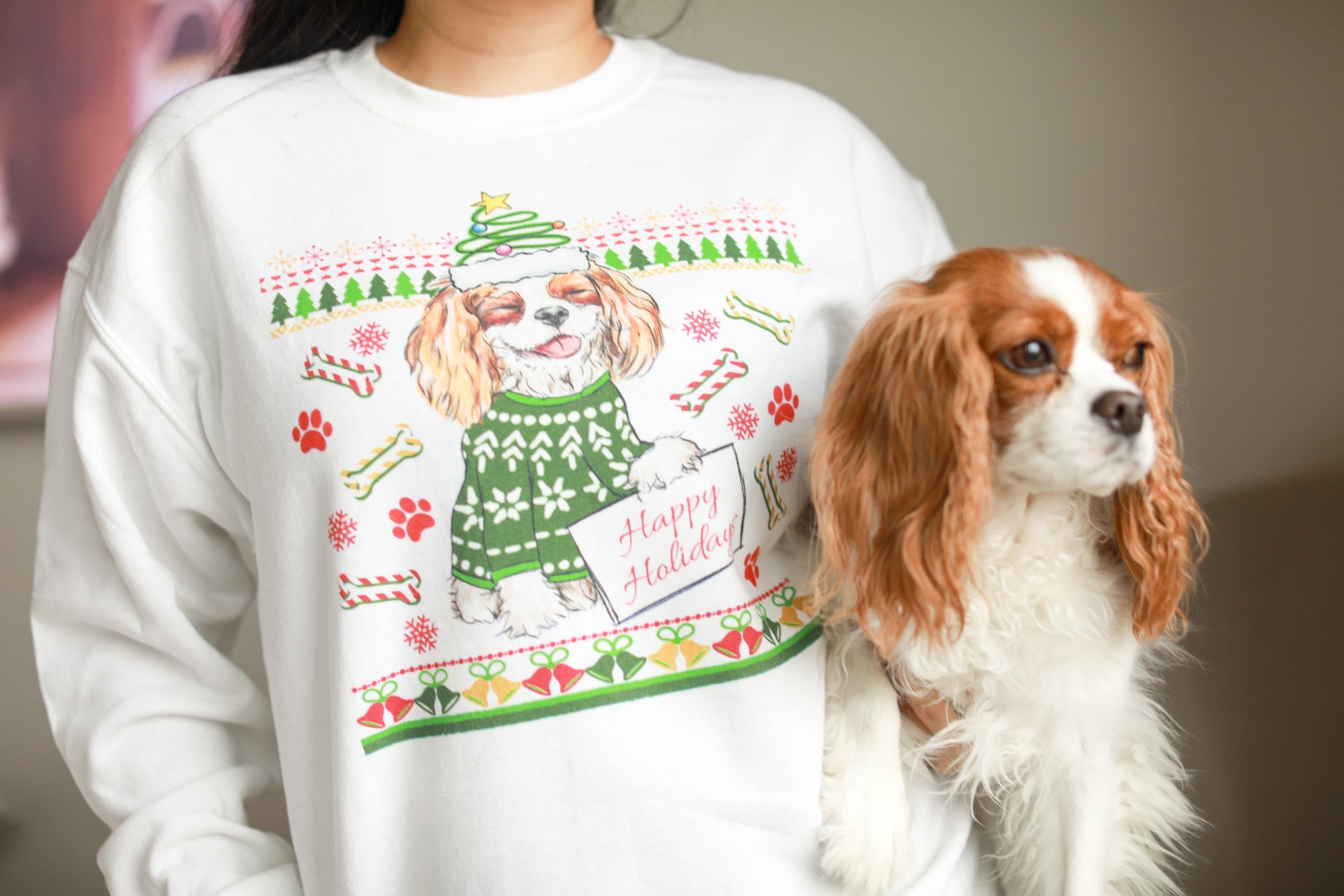 UGLY CHRISTMAS SWEATER (blenheim)