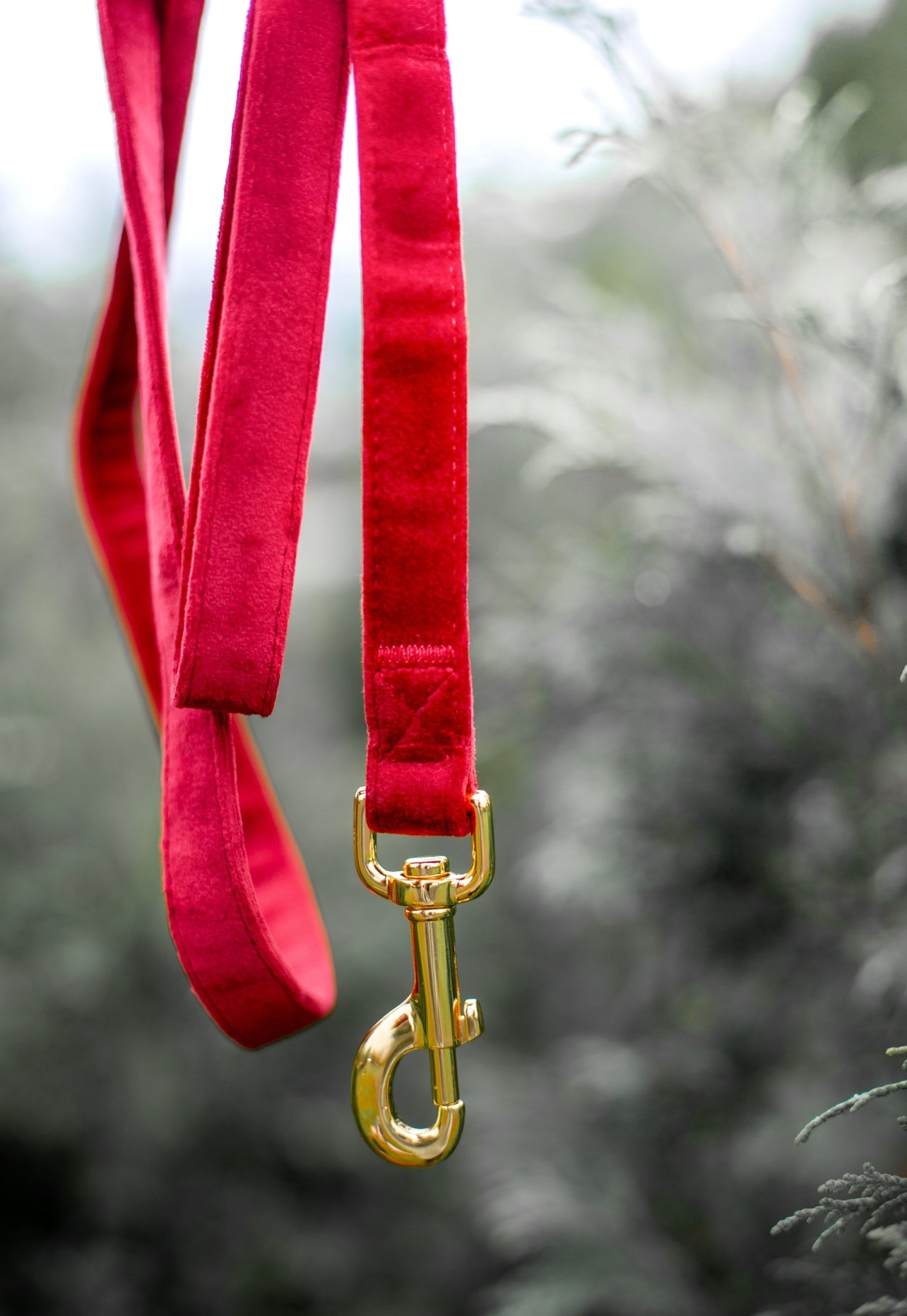 LEASH - BERRY Red Velvet