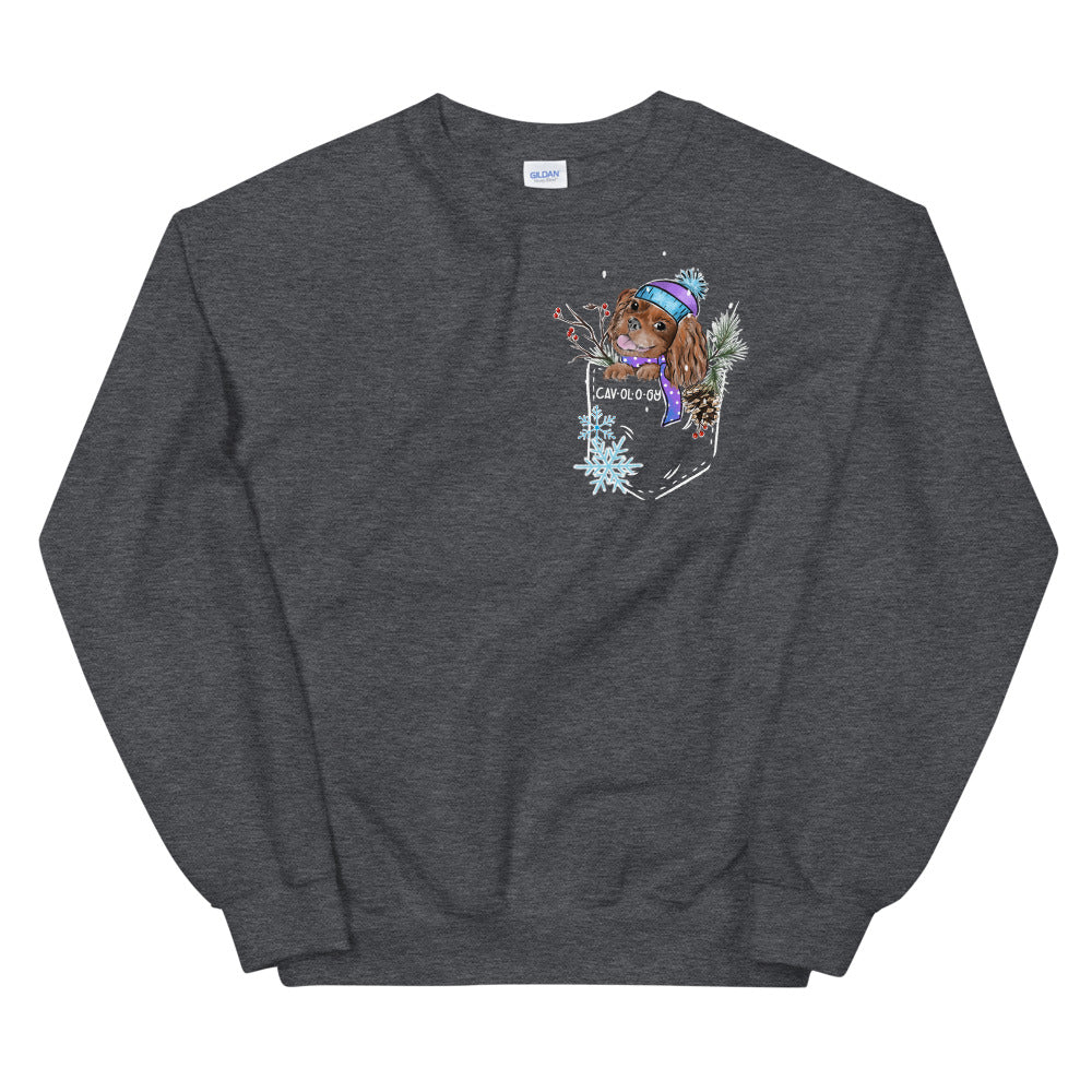 SNOW CAV SWEATSHIRT (ruby)