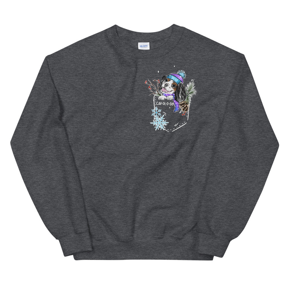 SNOW CAV SWEATSHIRT (tricolor)