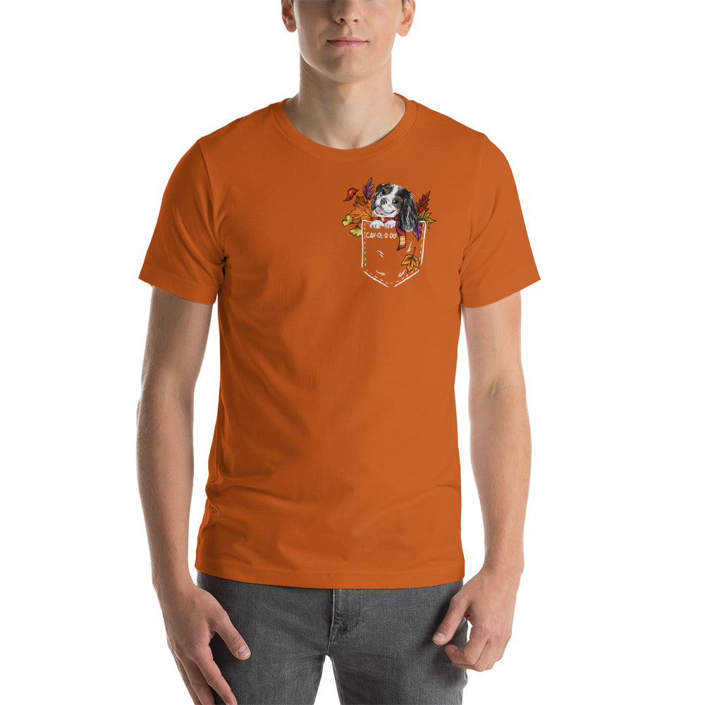 TSHIRT - Fall Tricolor