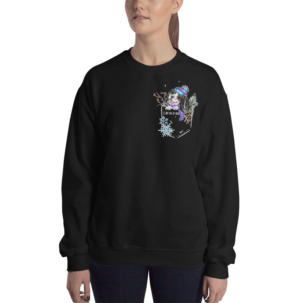 SNOW CAV SWEATSHIRT (tricolor)