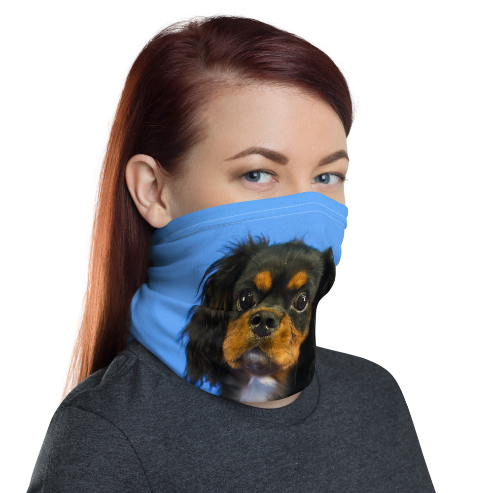 Black & Tan Neck Gaiter