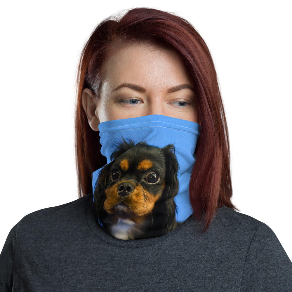 Black & Tan Neck Gaiter