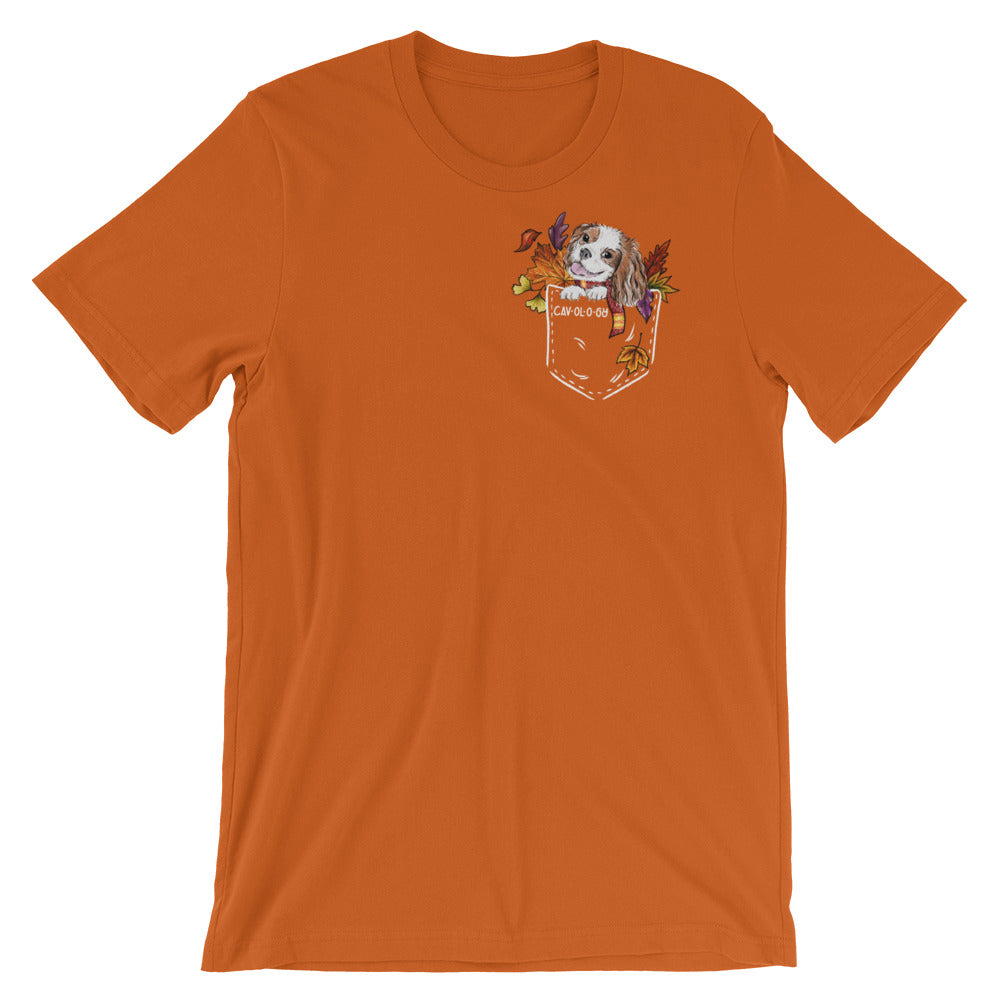 TSHIRT - Fall Blenheim