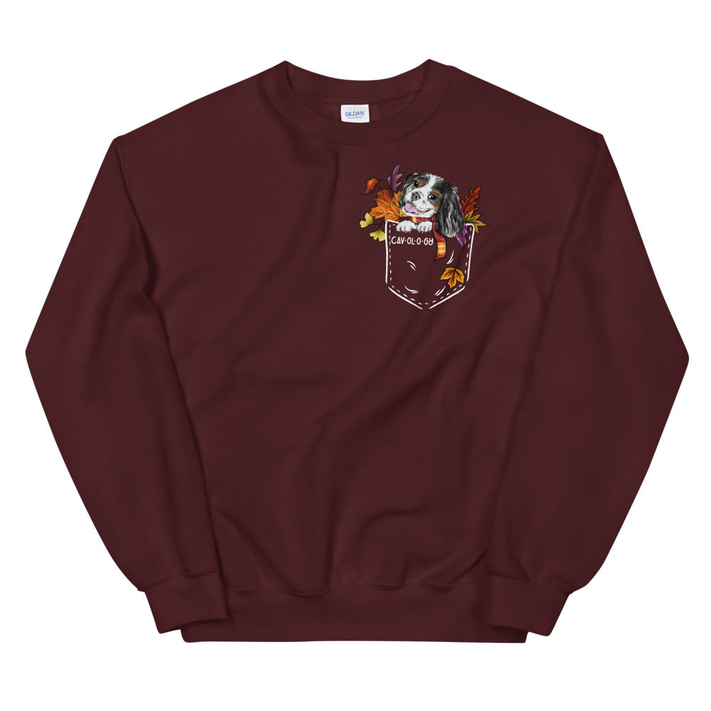 SWEATSHIRT - Fall Tricolor