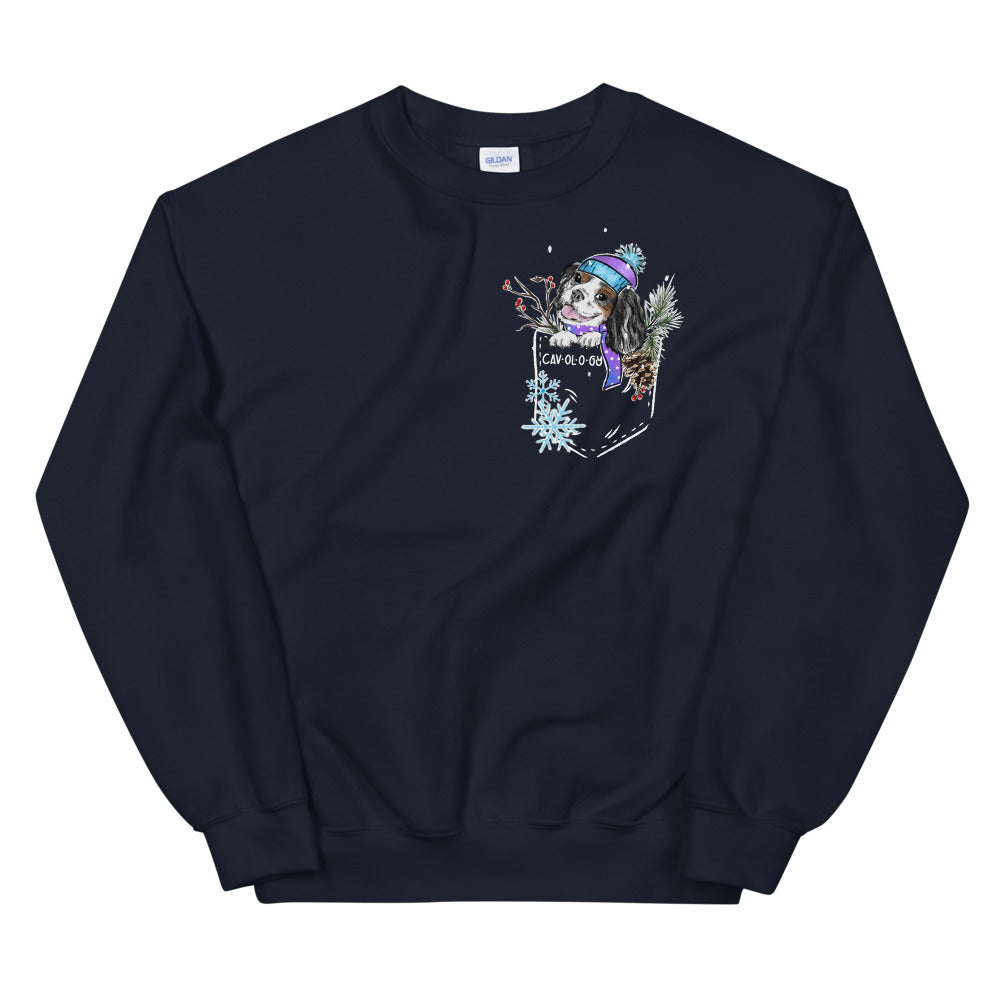 SNOW CAV SWEATSHIRT (tricolor)