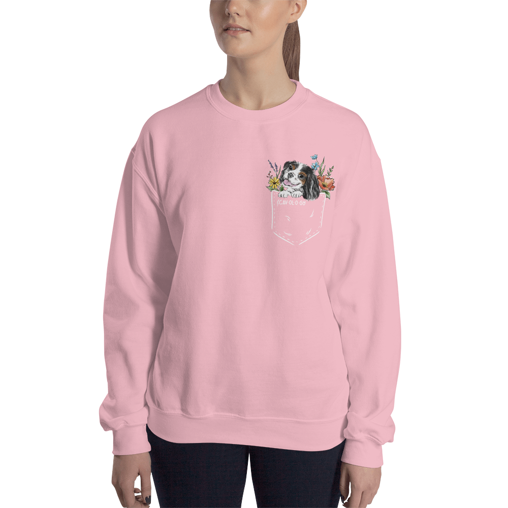 CAV IN POCKET (tricolor) Unisex Sweatshirt