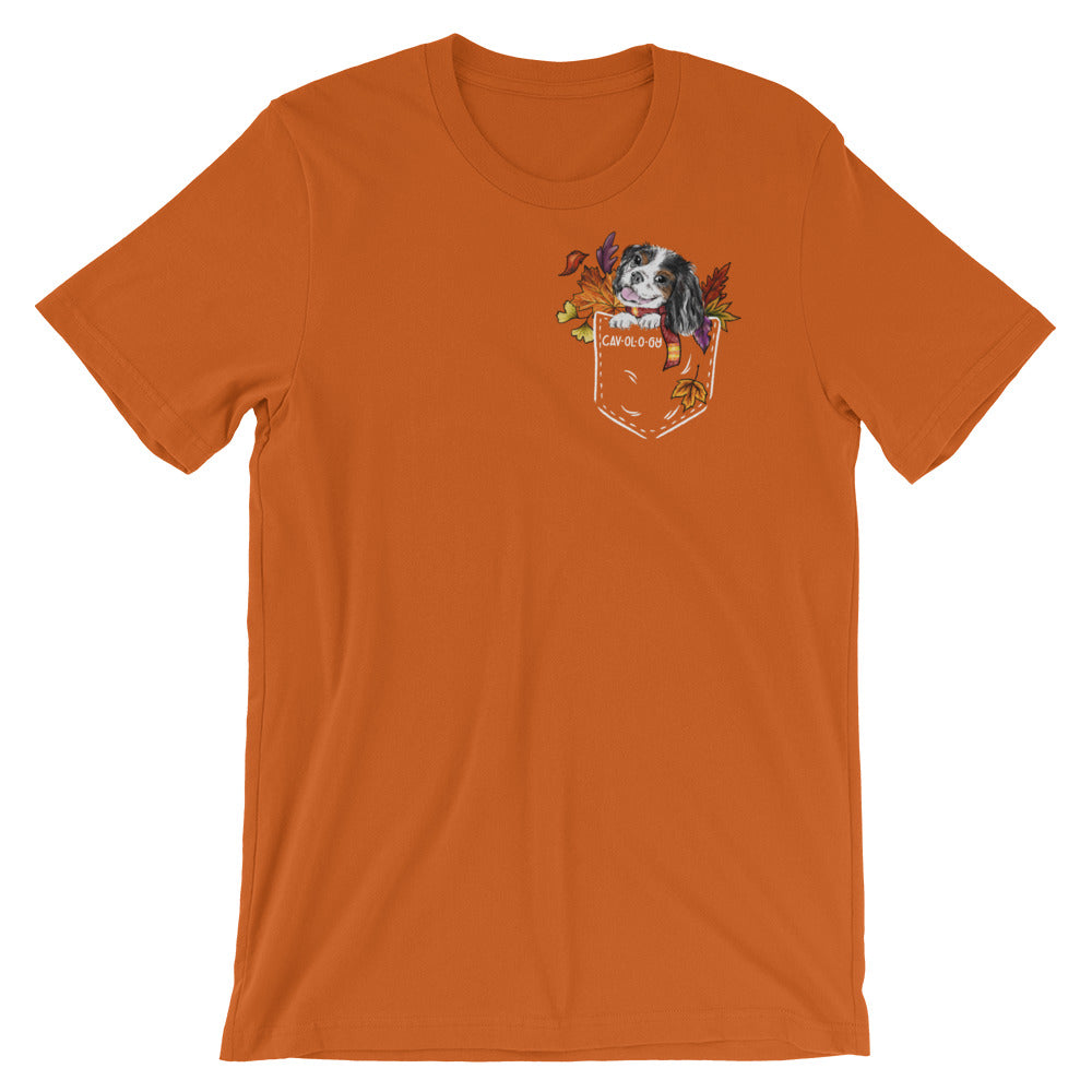 TSHIRT - Fall Tricolor