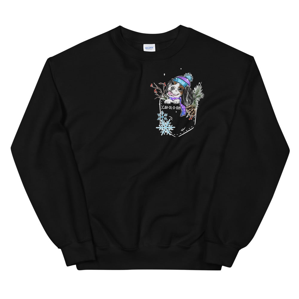 SNOW CAV SWEATSHIRT (tricolor)