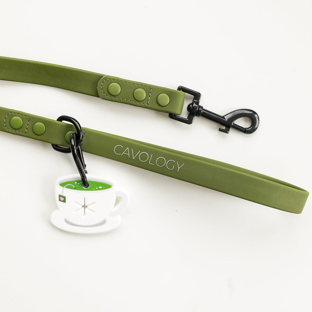 DOG WALK BUNDLE - HUNTER GREEN Matcha