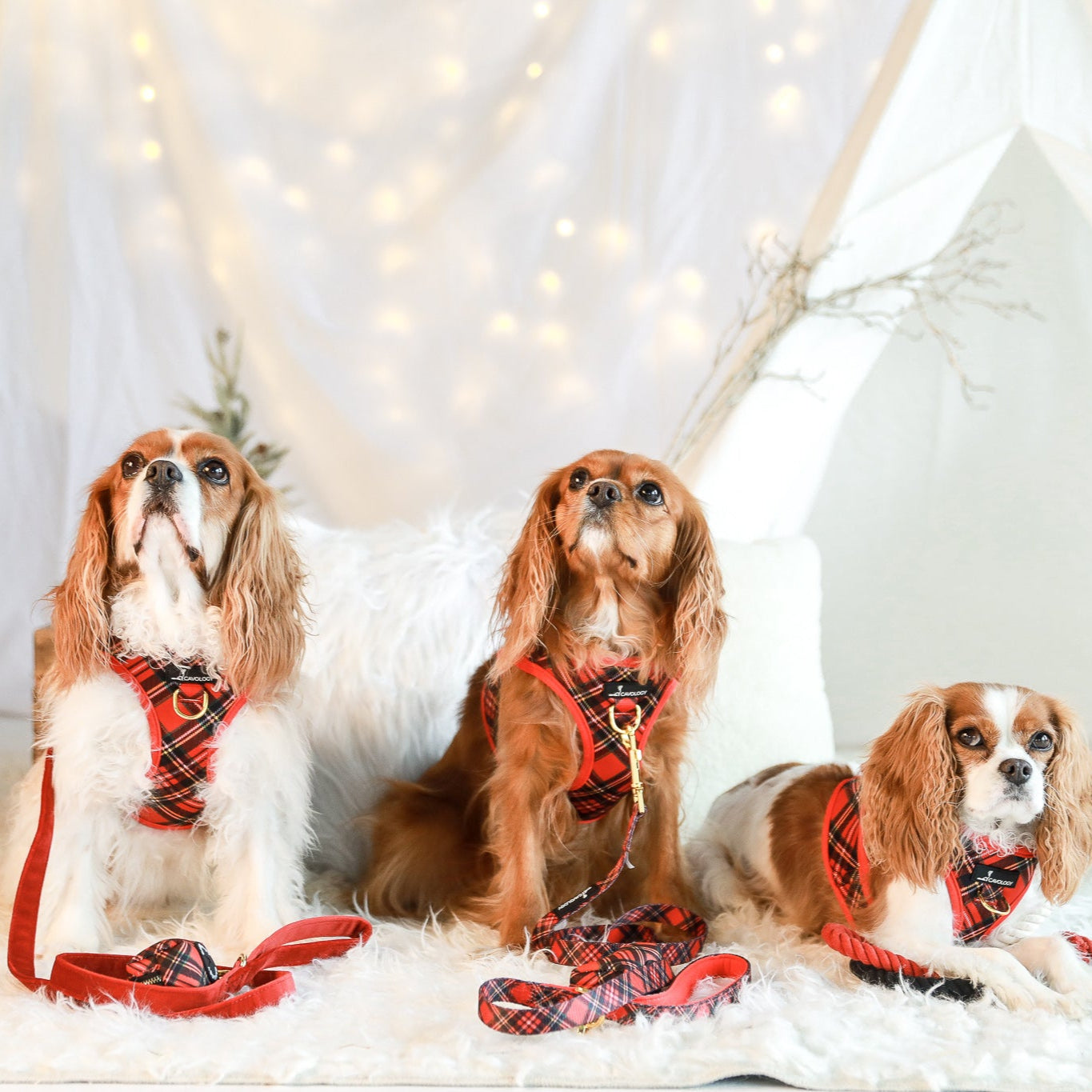 LEASH - Red Plaid Tartan Winter Wonderland