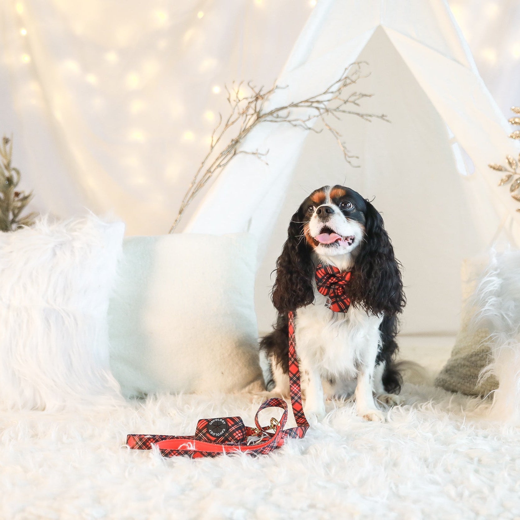 LEASH - Red Plaid Tartan Winter Wonderland