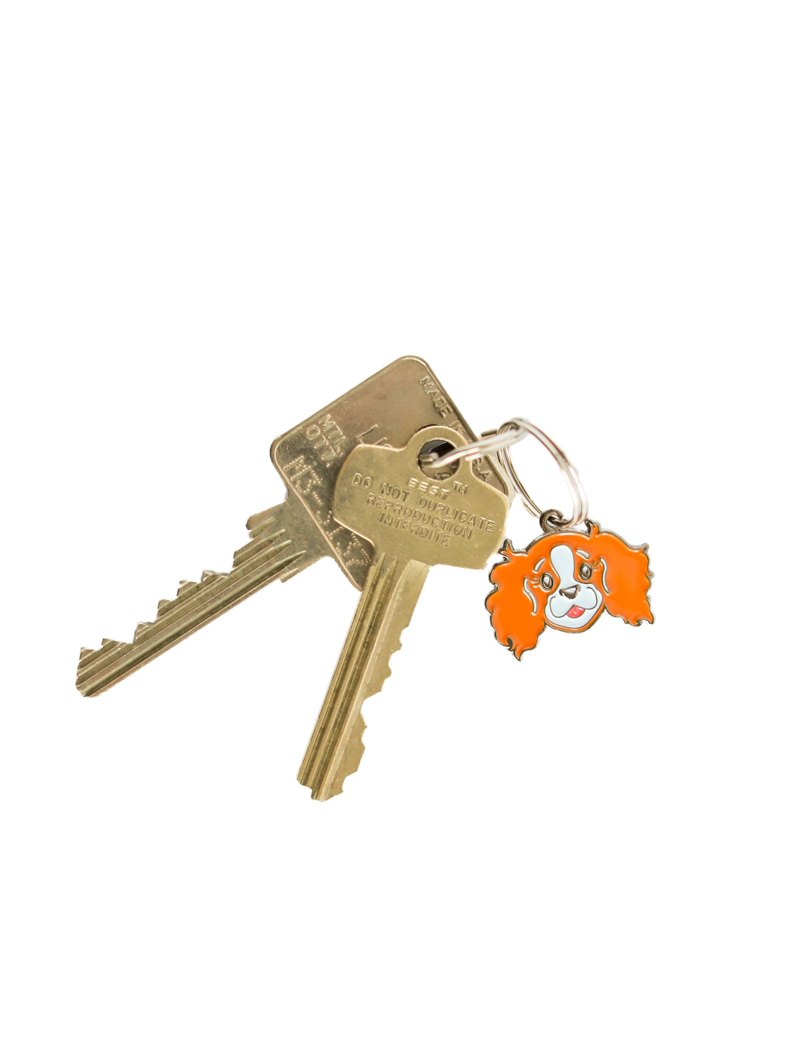 Cavalier King Charles face charm | BLACK & TAN