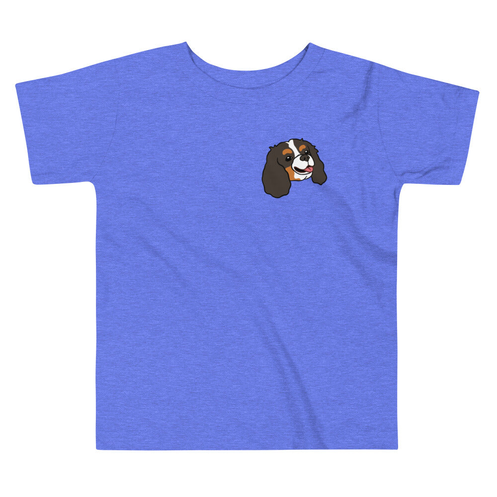 TODDLER - Tricolor