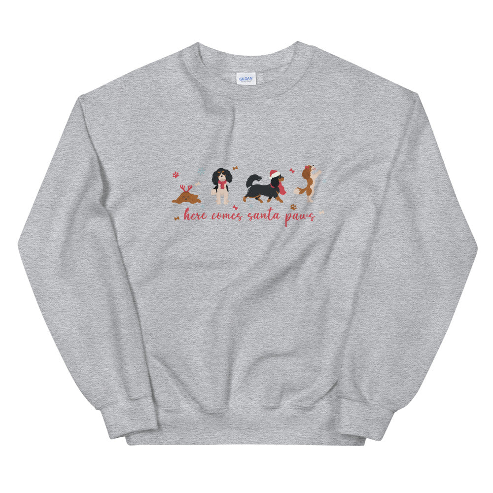 HERE COMES SANTA PAWS SWEATSHIRT