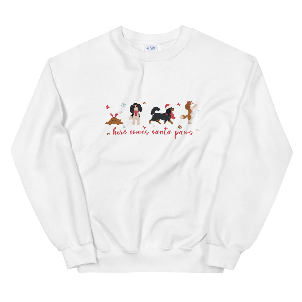 HERE COMES SANTA PAWS SWEATSHIRT