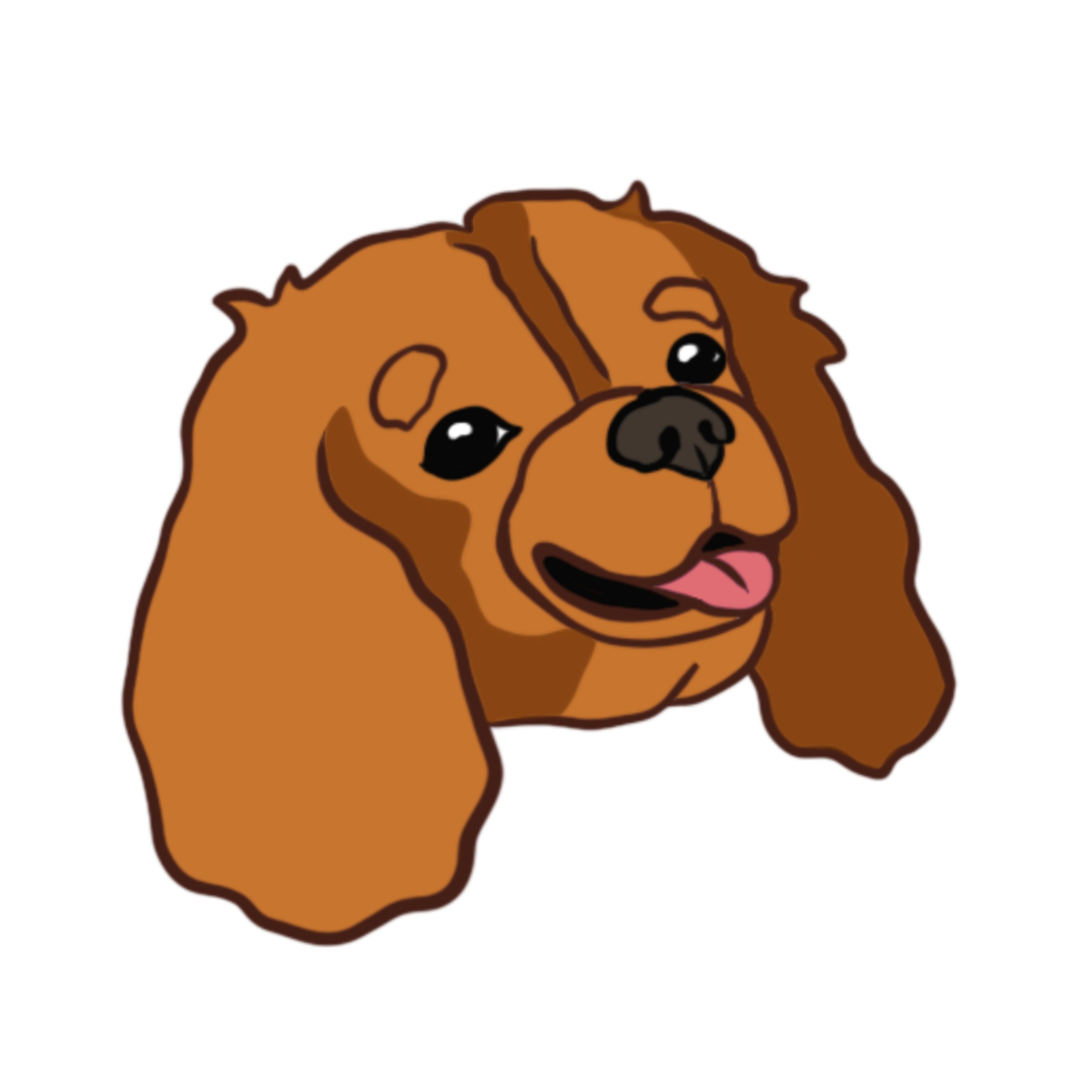 STICKER - Cavalier King Charles Spaniel Ruby