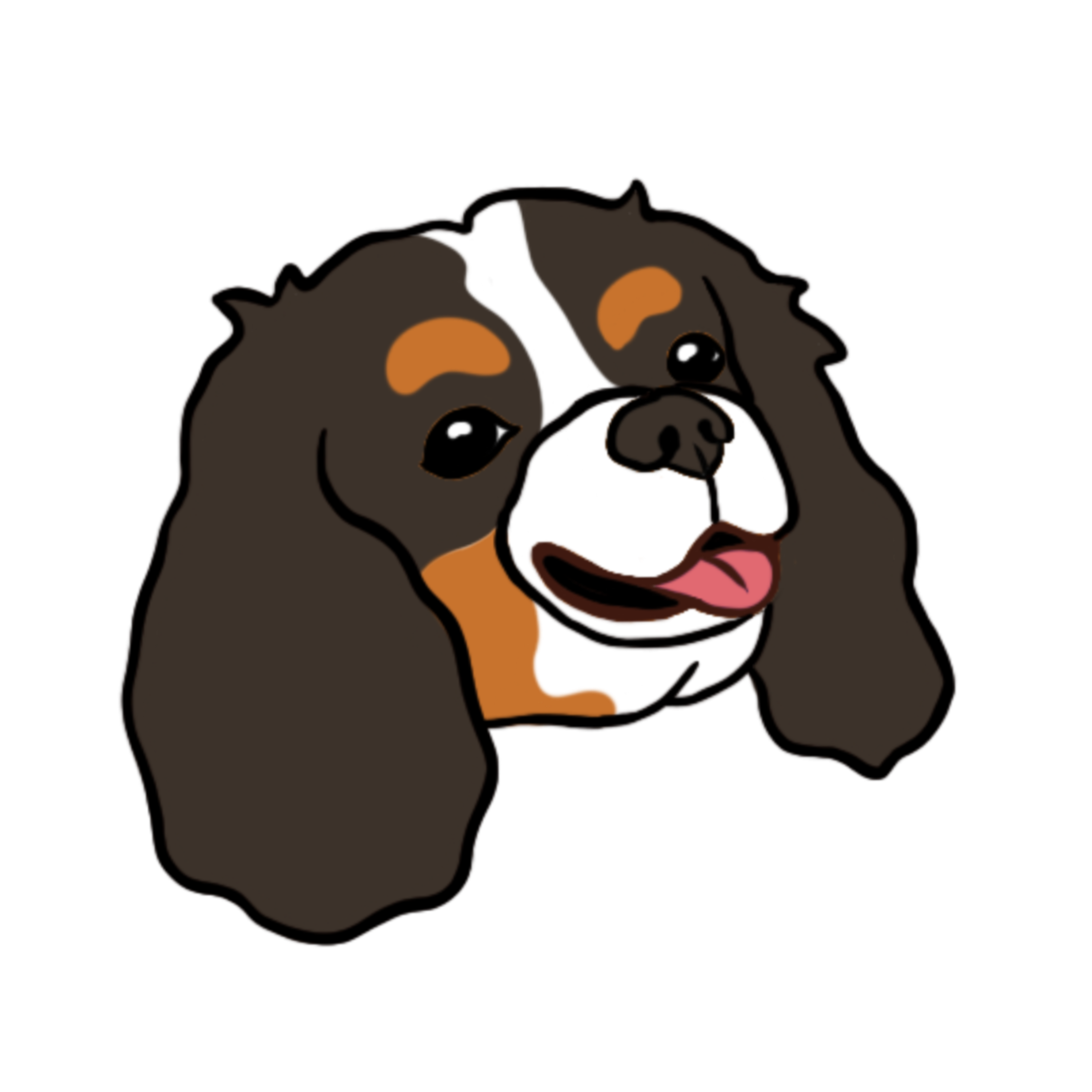 STICKER - Cavalier King Charles Spaniel Tricolor