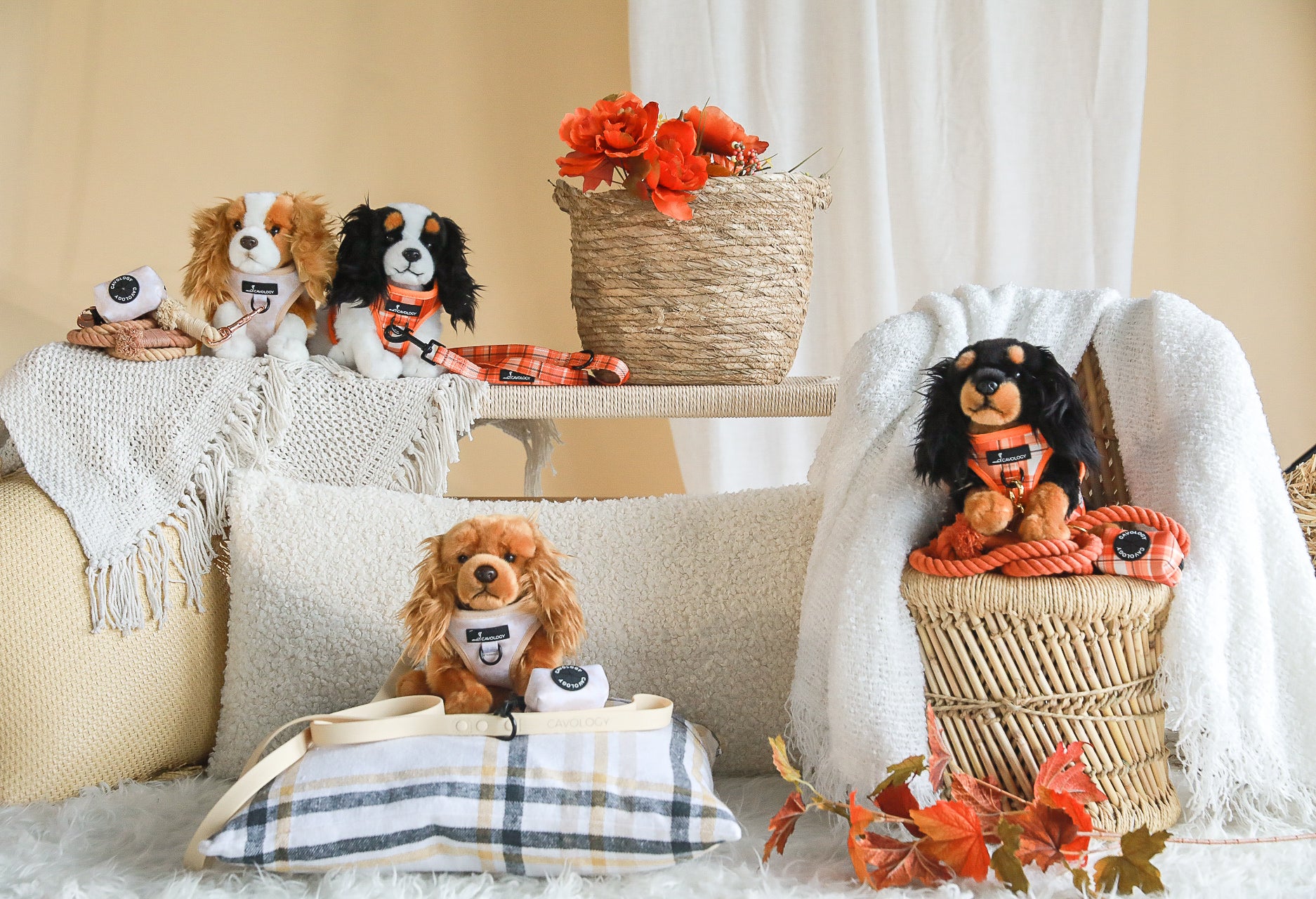 Dog Accessories Fall 2022 Pumpkin Spice Chai Latte