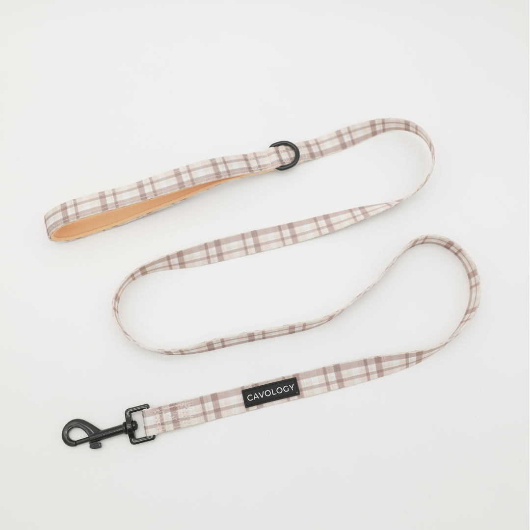 London Fog Cream Plaid Dog Walking Bundle