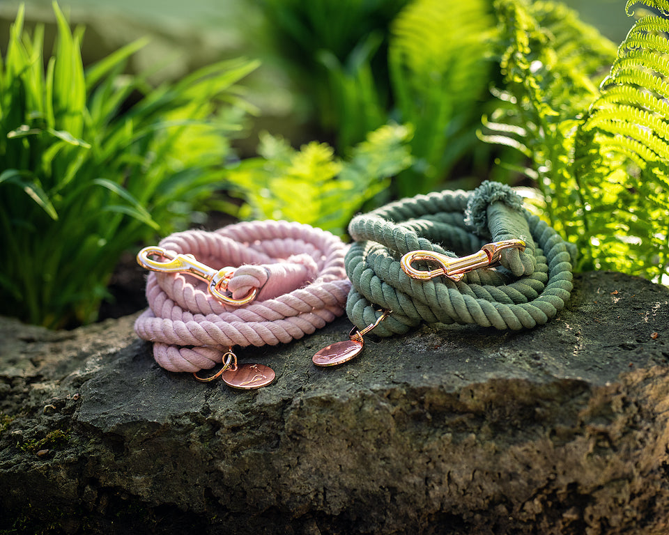 IMPERFECT ROPE LEASH - Sage Green