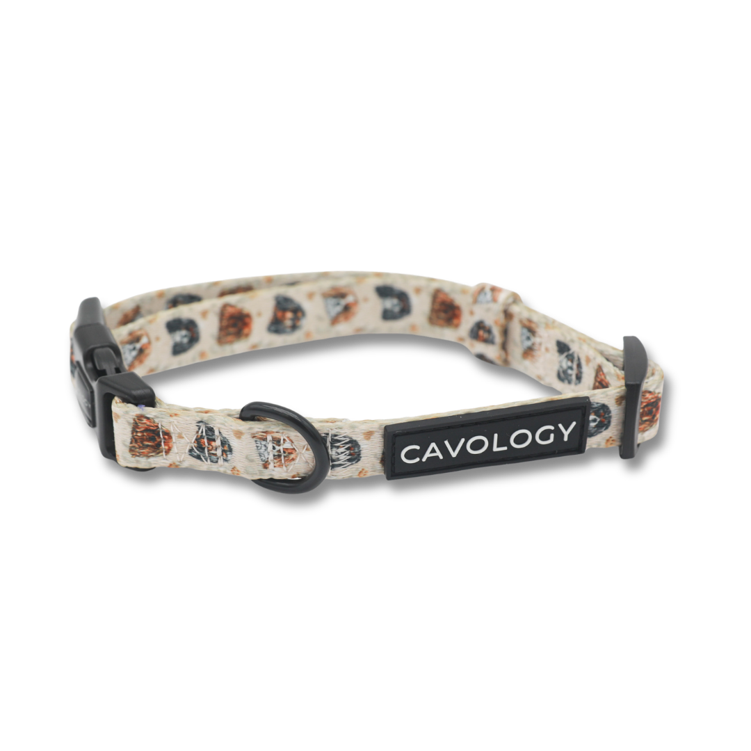 Cavalier King Charles Spaniel Dog Collar