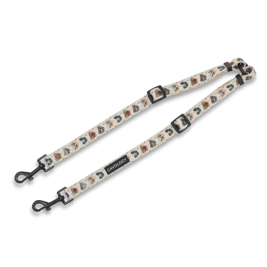 Cavalier King Charles Spaniel Dog Leash Splitter