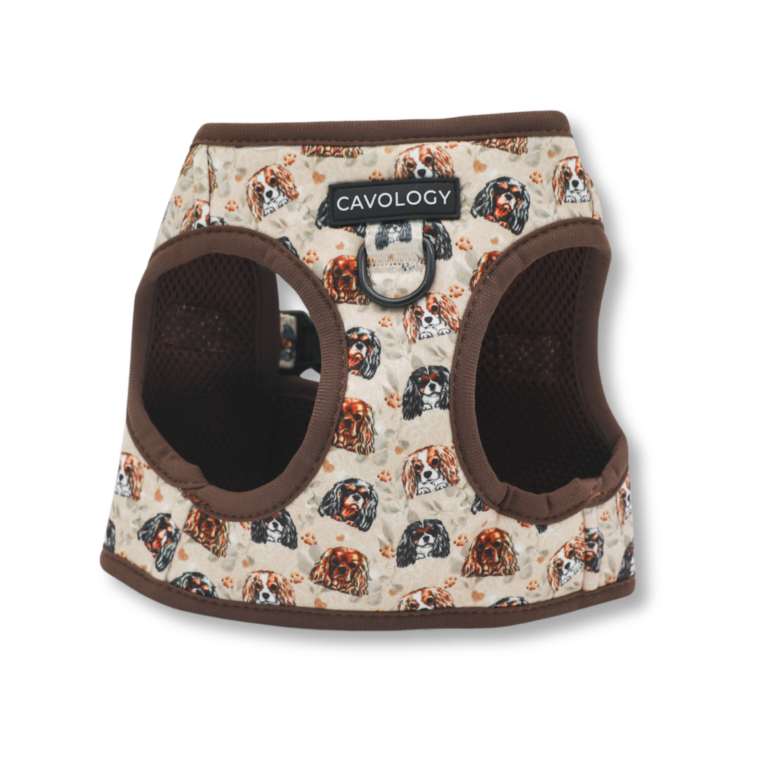 Cavalier King Charles Spaniel Vest Step In Dog Harness