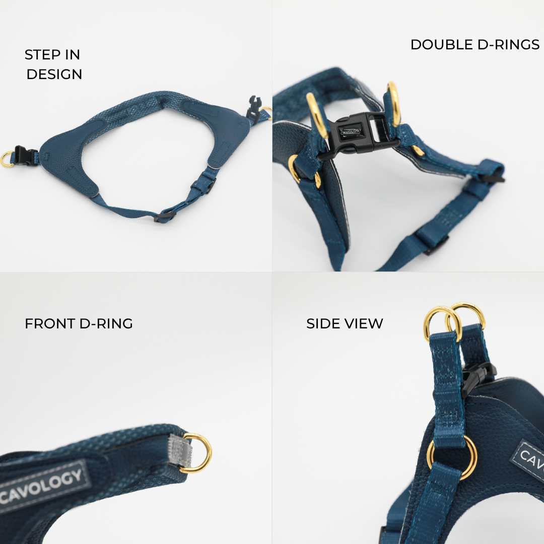 EASY-O STEP IN HARNESS - Denim Blue