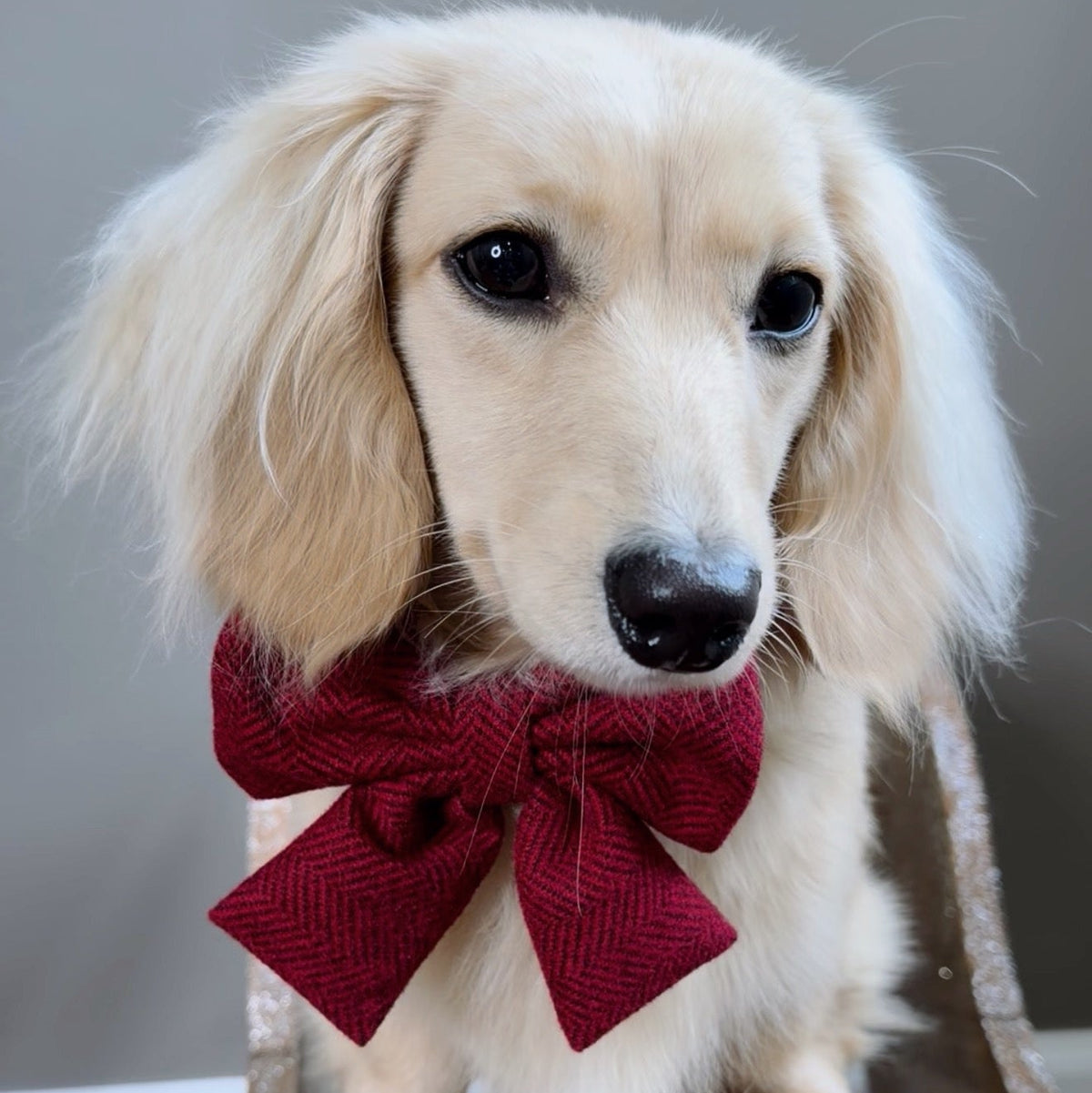 Cranberry Herringbone Dog Bow Tie