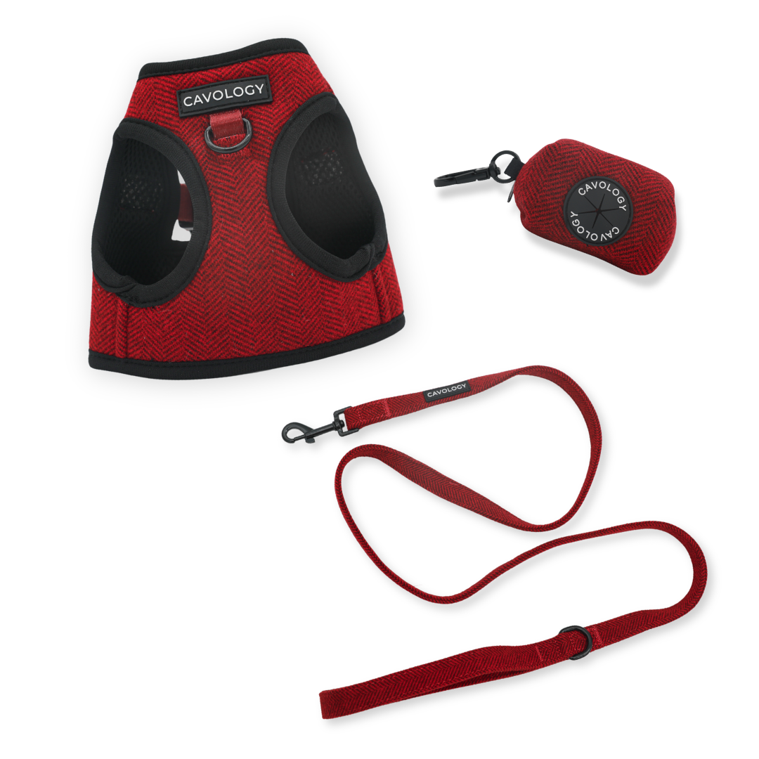 Cranberry Herringbone Dog Walking Bundle