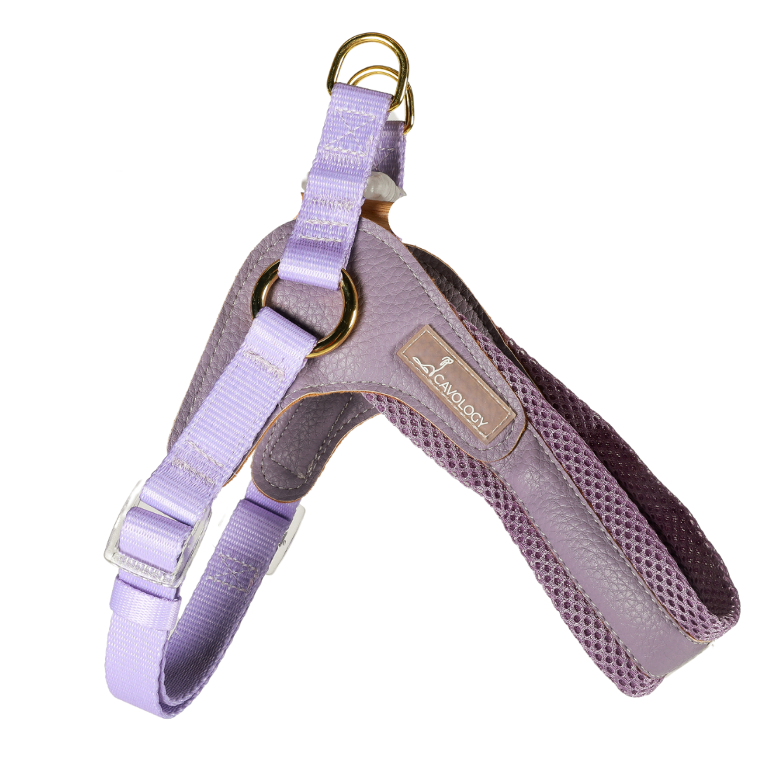Lavender 2024 dog harness