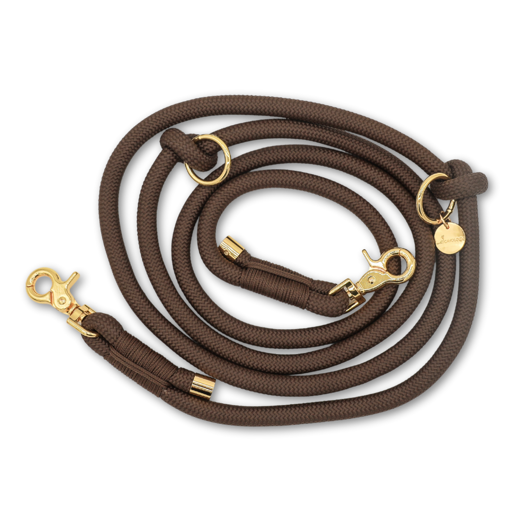 Cavology braided hands free rope leash with gold hardware in chocolate brown