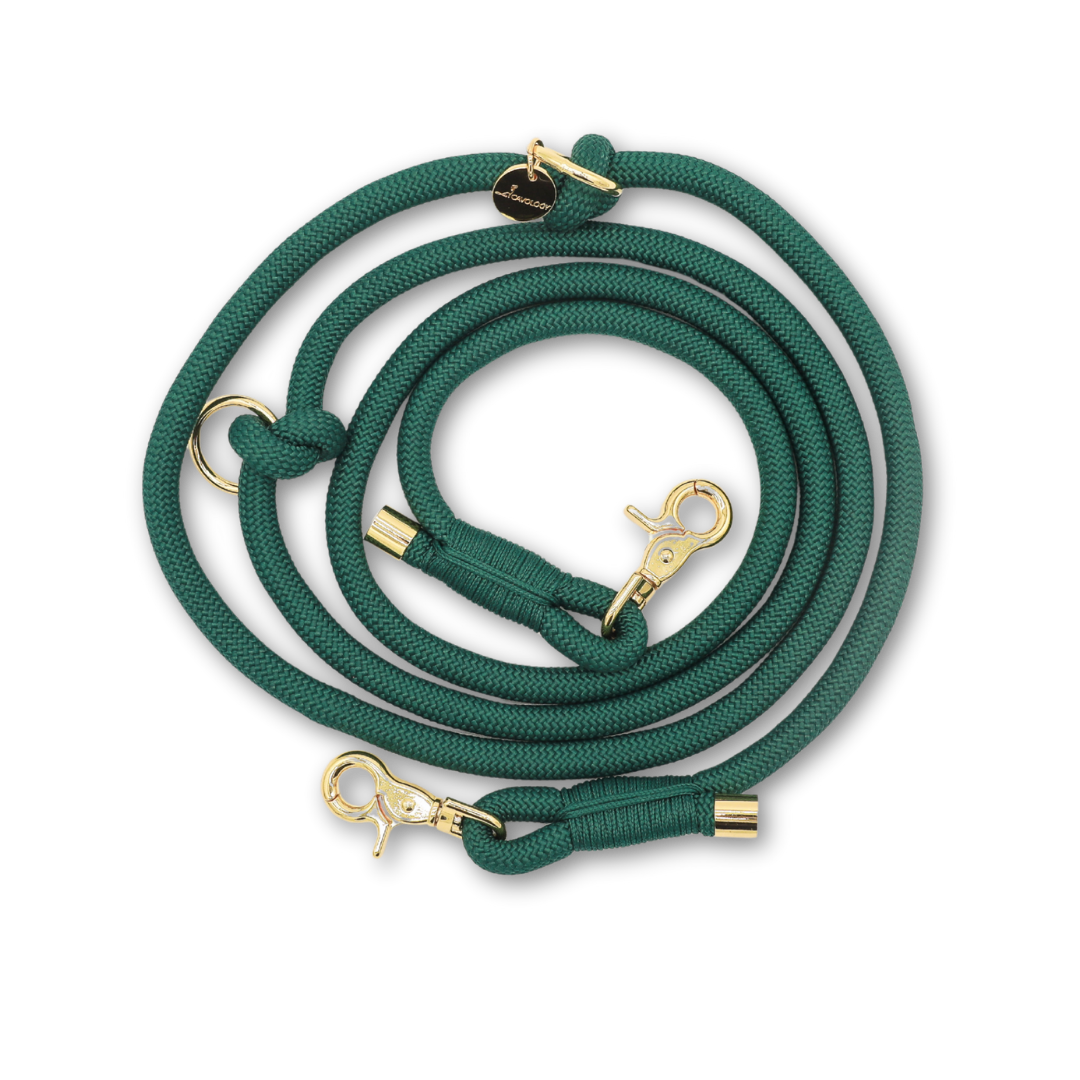 Cavology hands free braided rope dog leash with gold hardware in forest green
