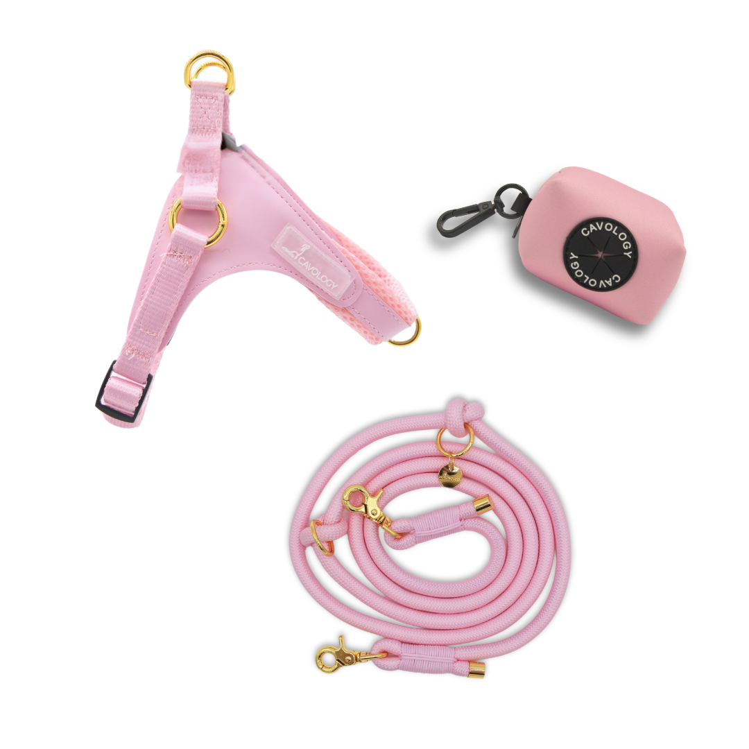 BUNDLE - EASY-O STEP IN HARNESS PINK