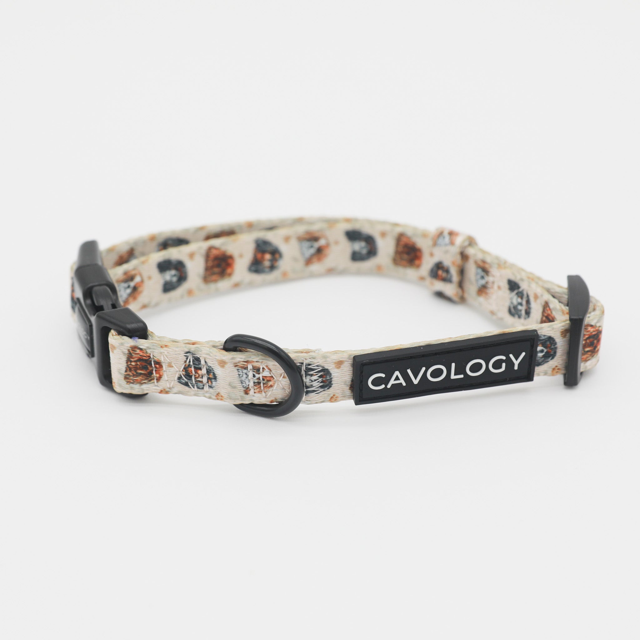 Cavalier King Charles Spaniel Dog Collar