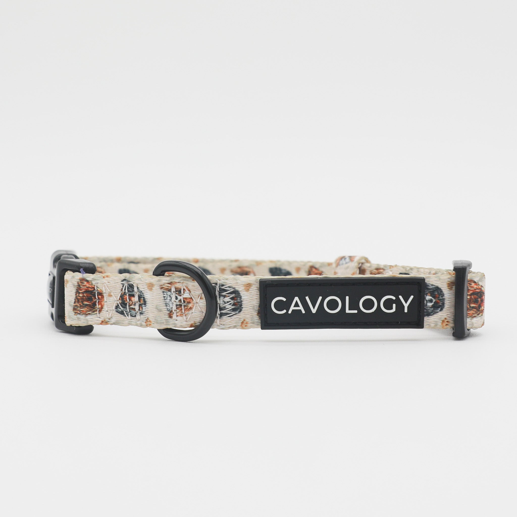 Cavalier King Charles Spaniel Dog Collar