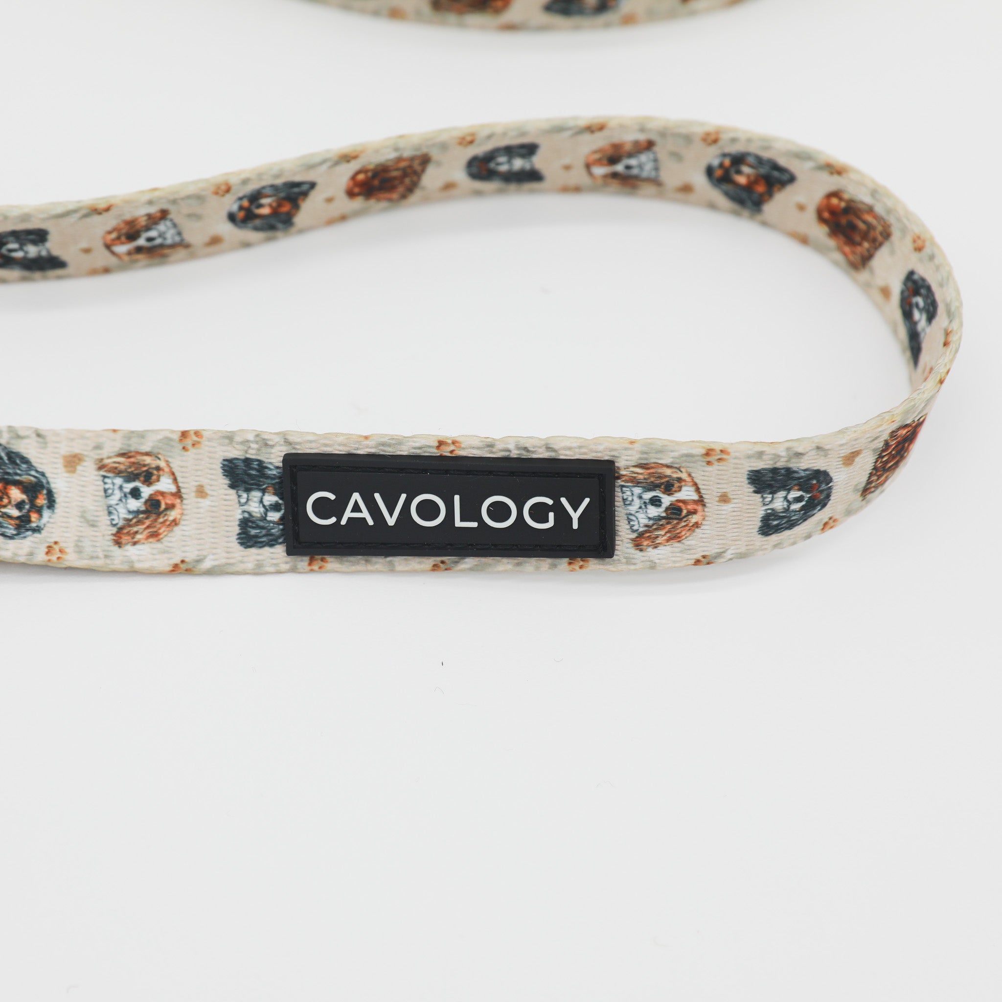 Cavalier King Charles Spaniel Dog Leash