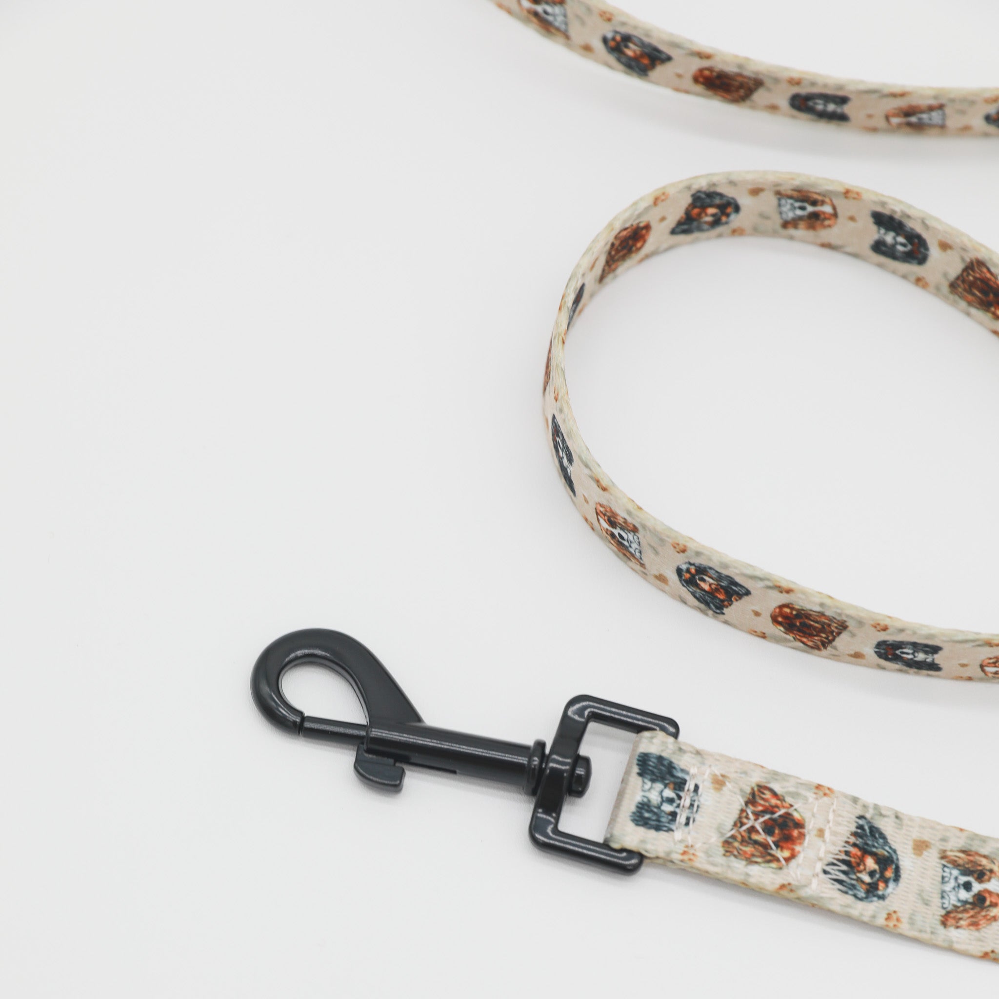Cavalier King Charles Spaniel Dog Leash