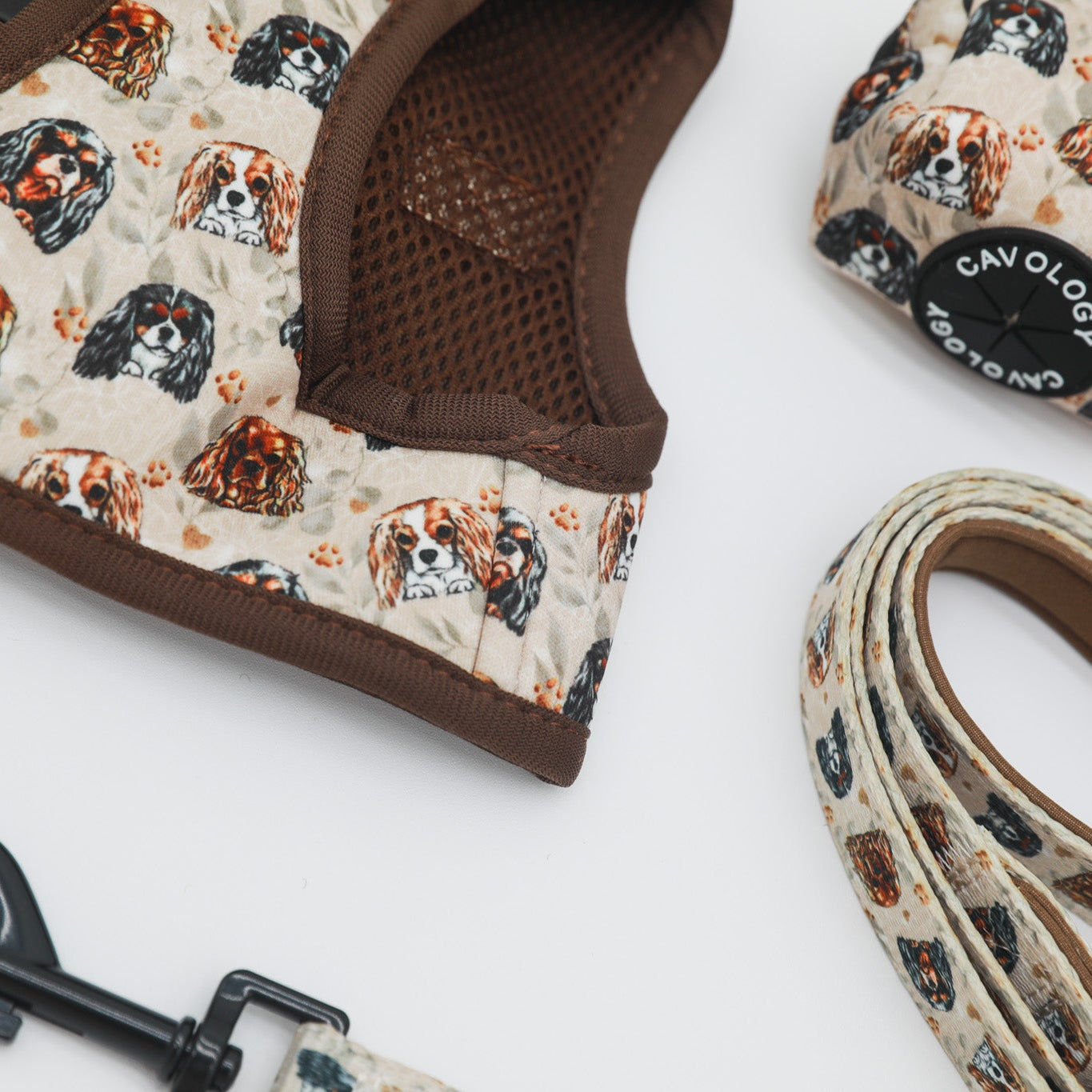 Cavalier King Charles Spaniel Dog Walking Bundle
