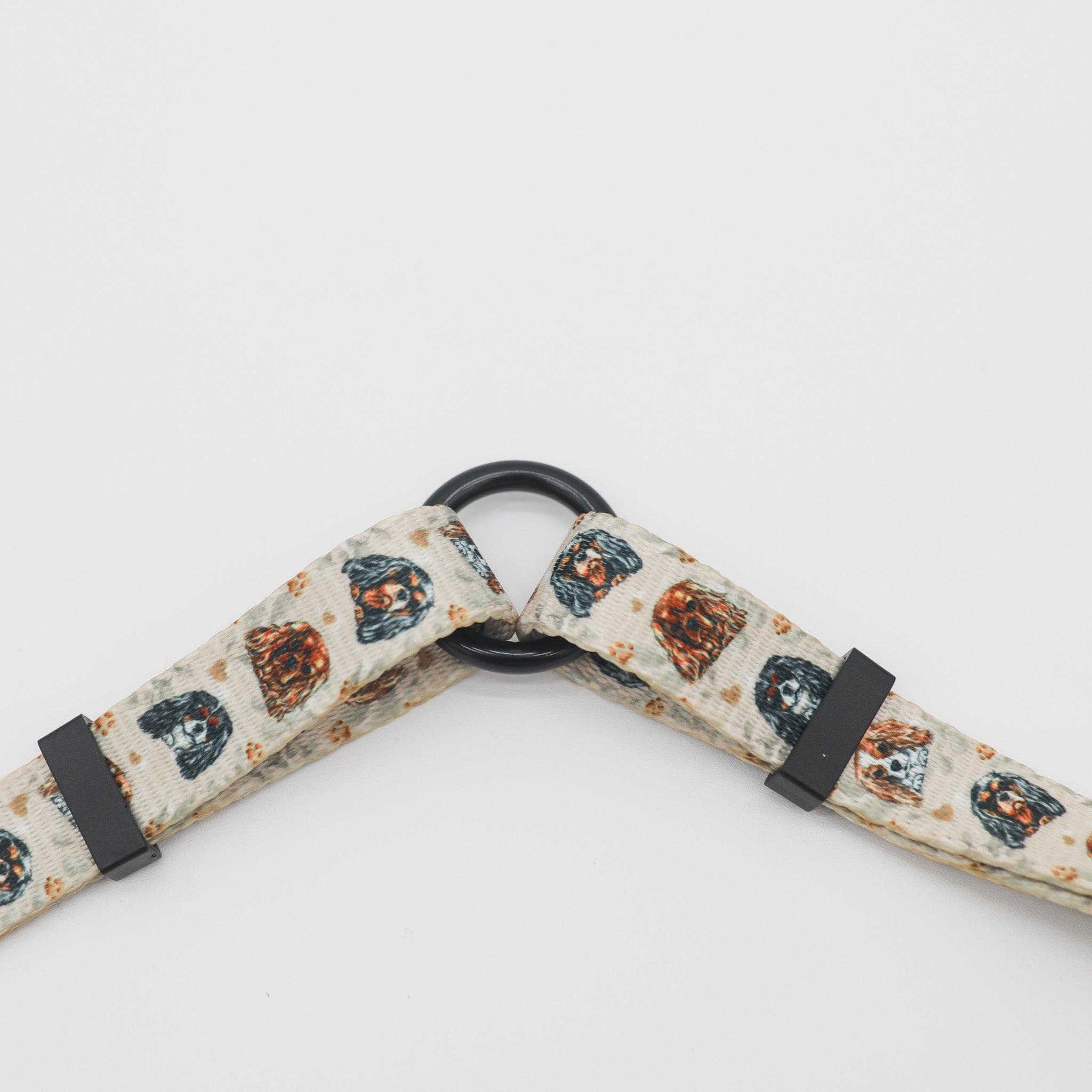 Cavalier King Charles Spaniel Dog Leash Splitter