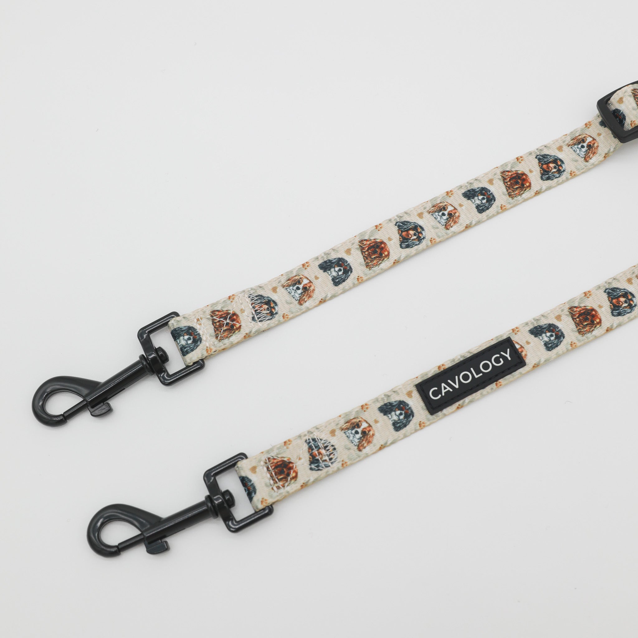 Cavalier King Charles Spaniel Dog Leash Splitter