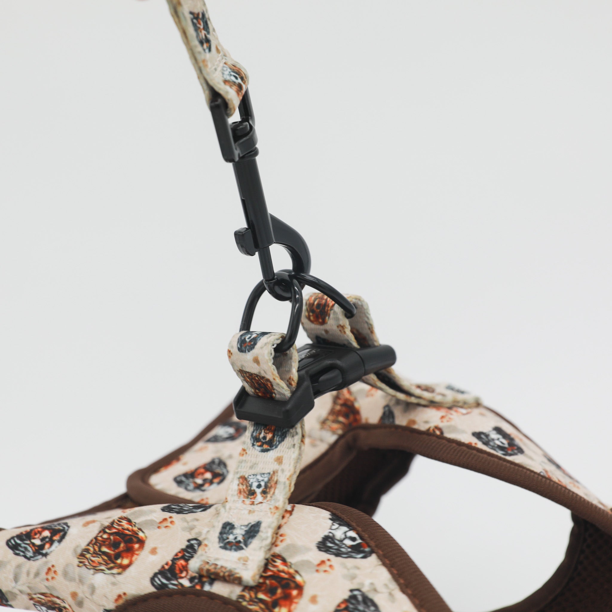 Cavalier King Charles Spaniel Vest Step In Dog Harness