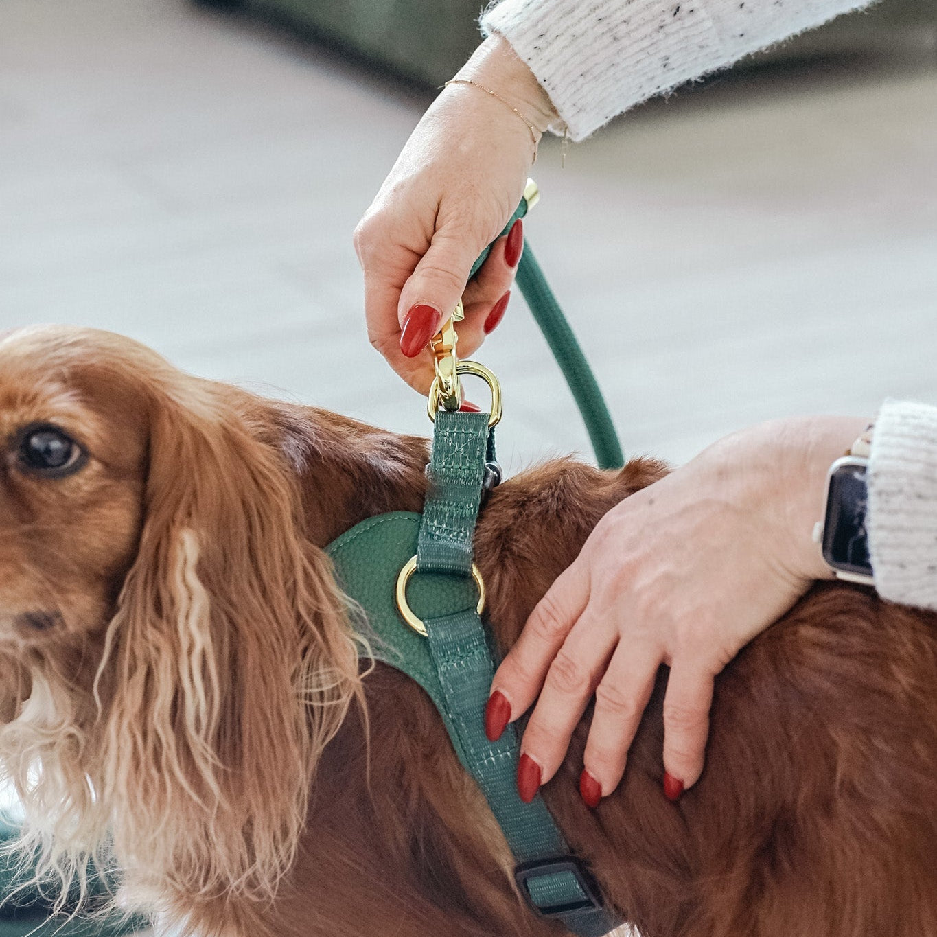Cavology Easy O dog walking bundle with harness rope leash and waste bag dispenser in forest green