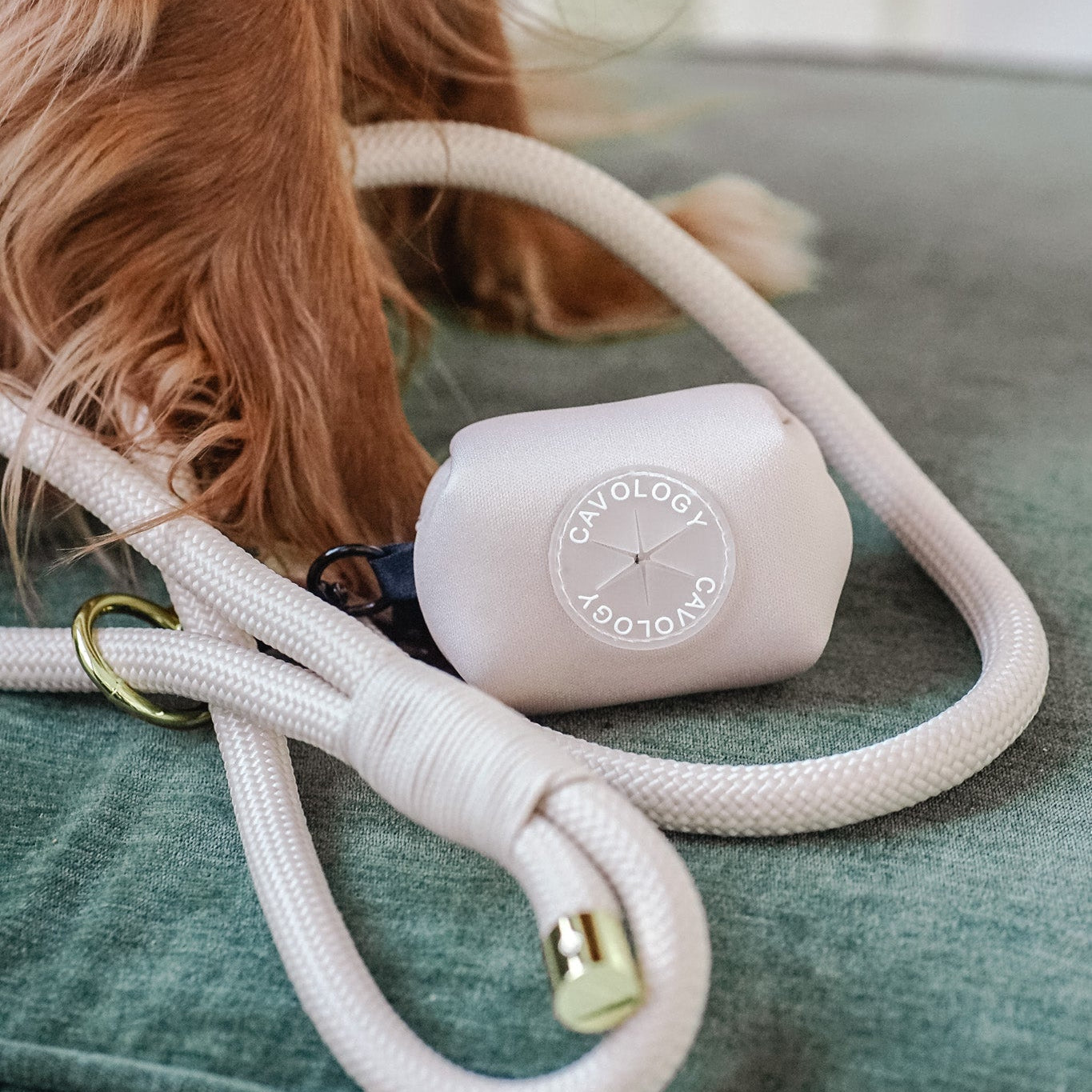 Cavology waste bag dispenser with matching braided rope dog leash in vanillla cream