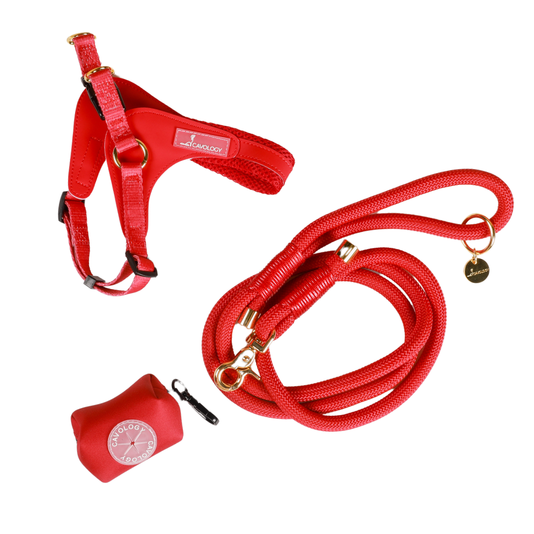 BUNDLE - EASY-O STEP IN HARNESS CHERRY RED